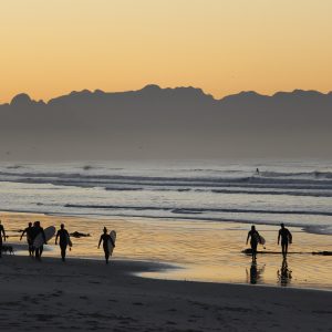 BARRY-DEAN-Food-Sock-Resller