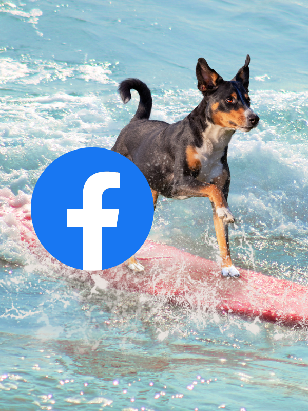 ITS A DOGZ LIFESTYLE (1)