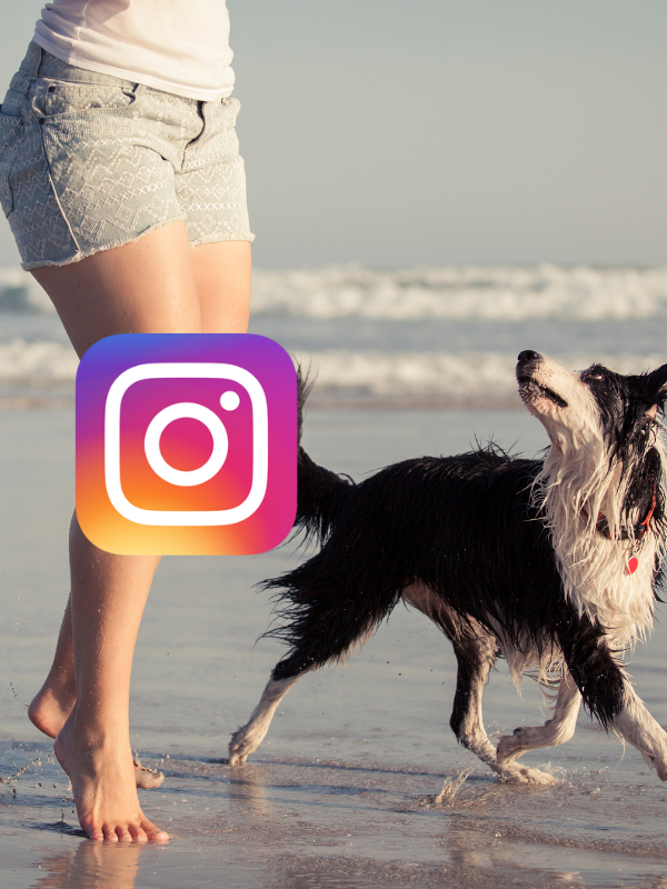 ITS A DOGZ LIFESTYLE (2)